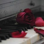 Love is…