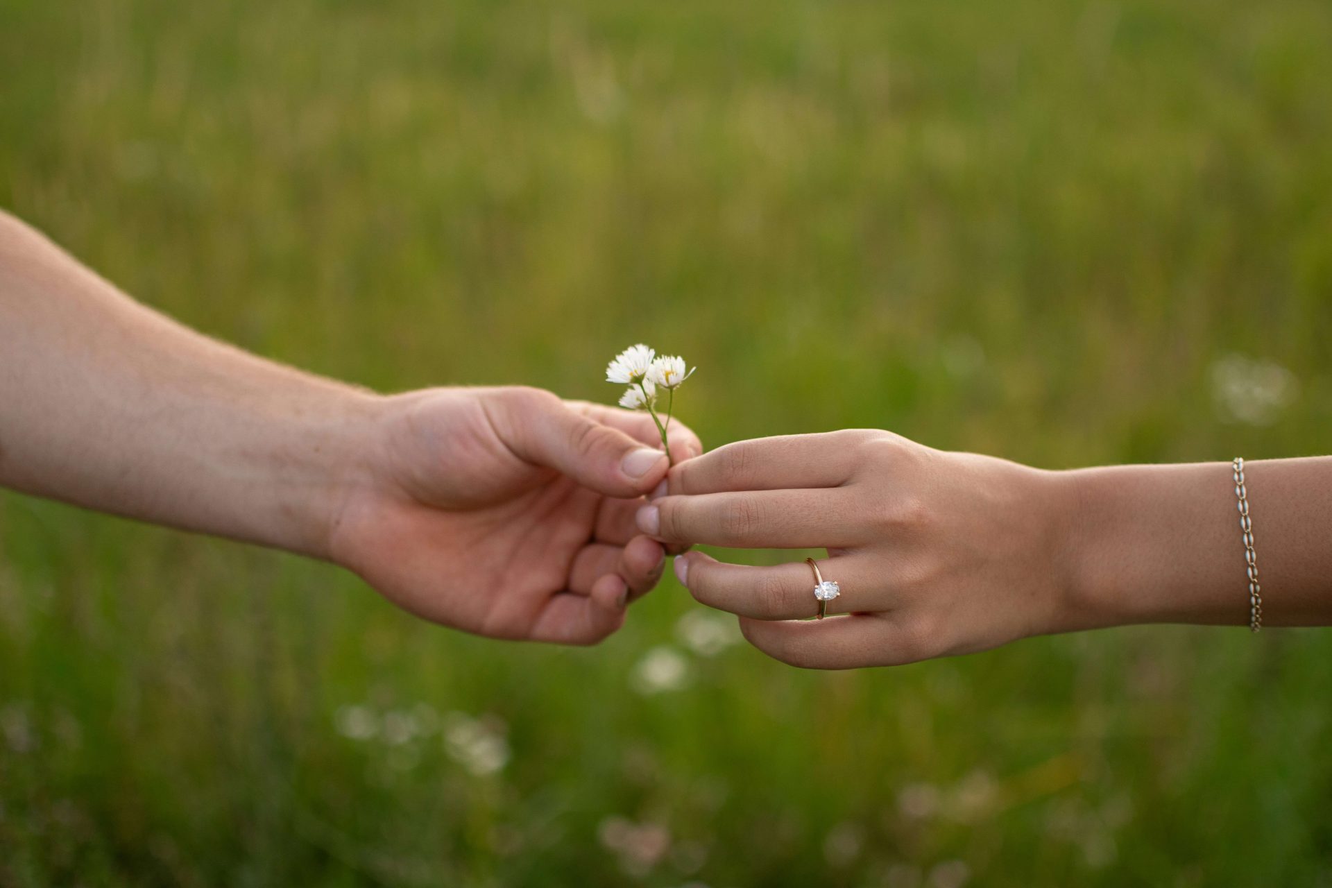 man handing woman a flower