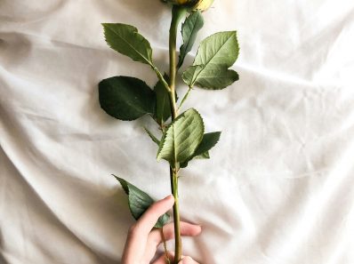 a woman's hand holding a yellow stem rose in a white sheet