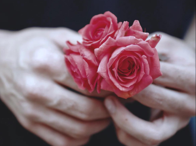 a hand holding a roses