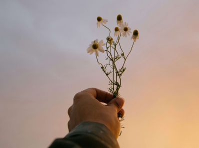 a hand holding up a flower in the sky