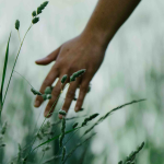 Until—you came…
