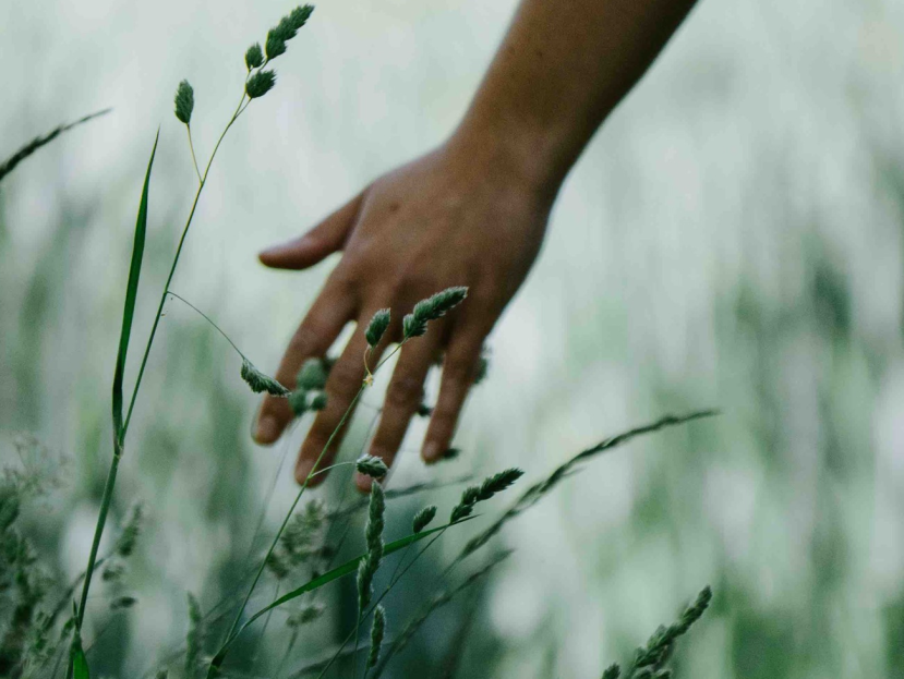 woman walking and touching grass