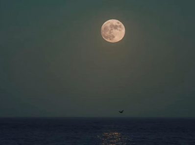 Moonbeam