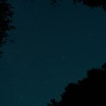 Until—you came…