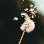The silence of your goodbye…