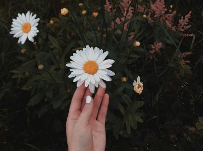 I wish you never find...