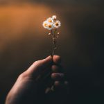 If I had loved myself the way I loved you…
