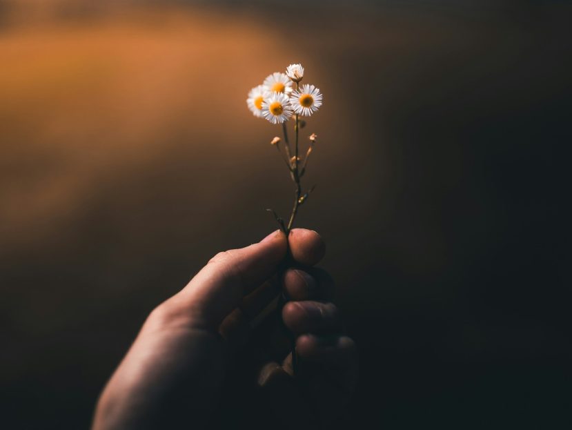 A Quiet Closure