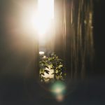 A Quiet Closure